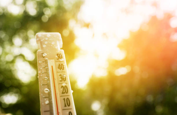 UK Government Escalates Drought Response as Heatwaves Pressure Water Supplies, Agriculture and Infrastructure