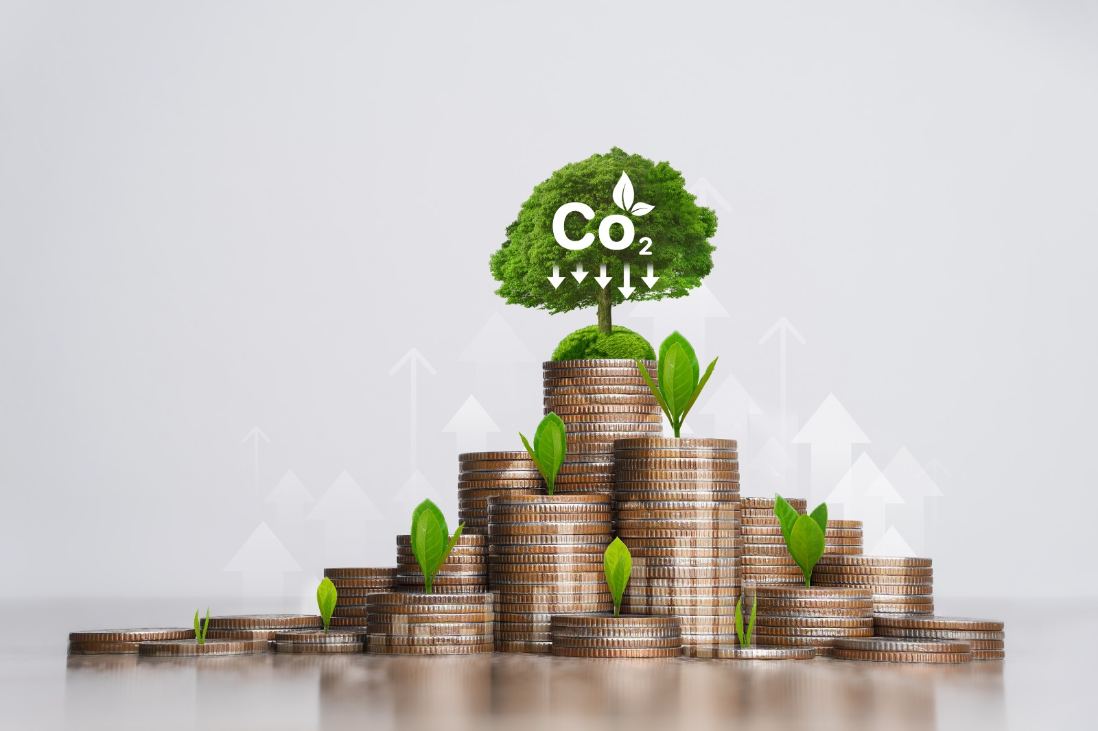 Nigeria’s Carbon Market: The Economics of Credibility, Regulation and Investor Confidence